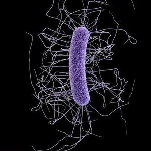 Meet your Posher, Berj